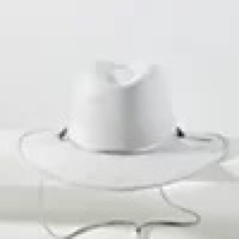Anthropologie ASN Silver Braided Trimmed Rancher Hat - Picture 2 of 4